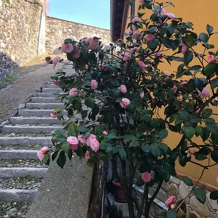 Bed & Breakfast Alle Scalette *