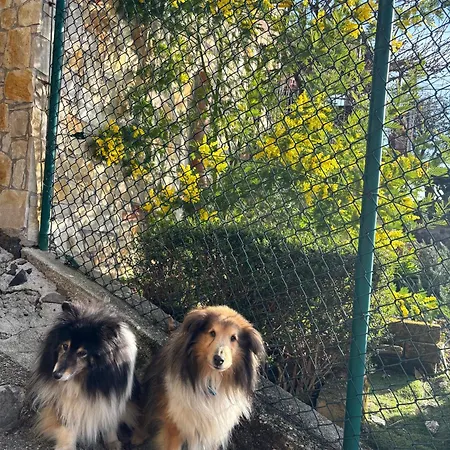 Alle Scalette Frühstückspension 4*