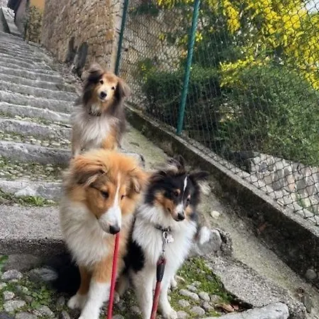 Alle Scalette Trissino