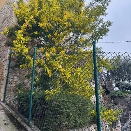 Alle Scalette 4* Trissino