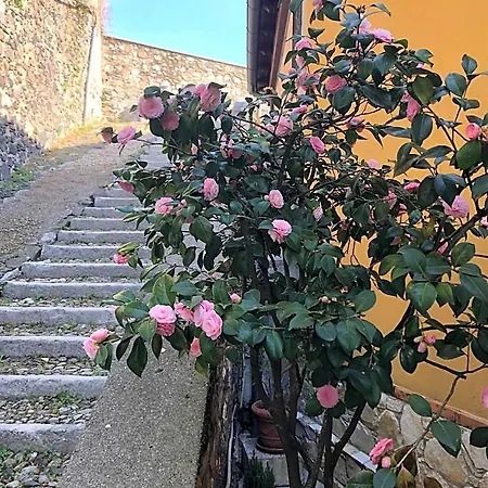 Alle Scalette Trissino