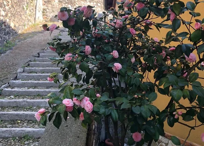 Bed and breakfast Alle Scalette 4*